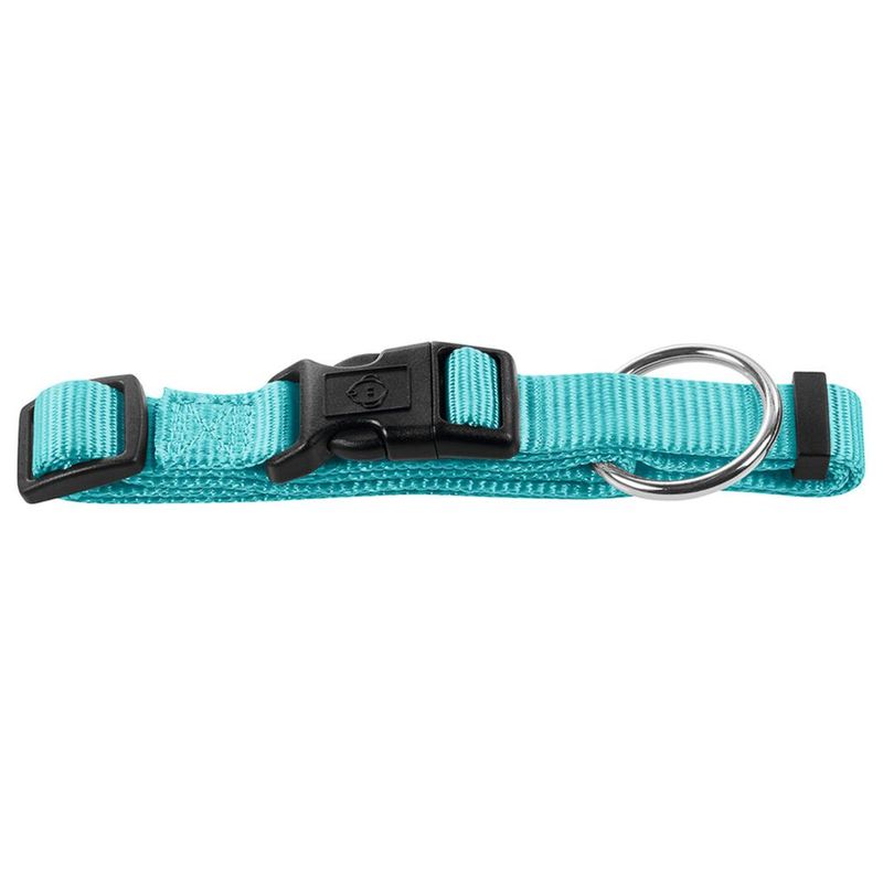 Smart Ecco S бирюзовый