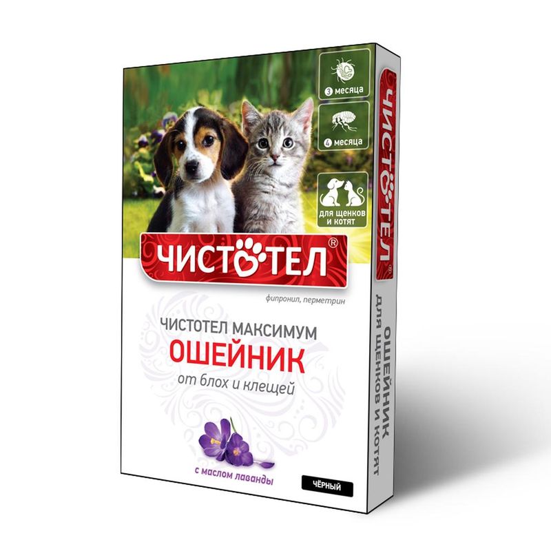 Максимум, Ошейник для щенков и котят фиолетовый